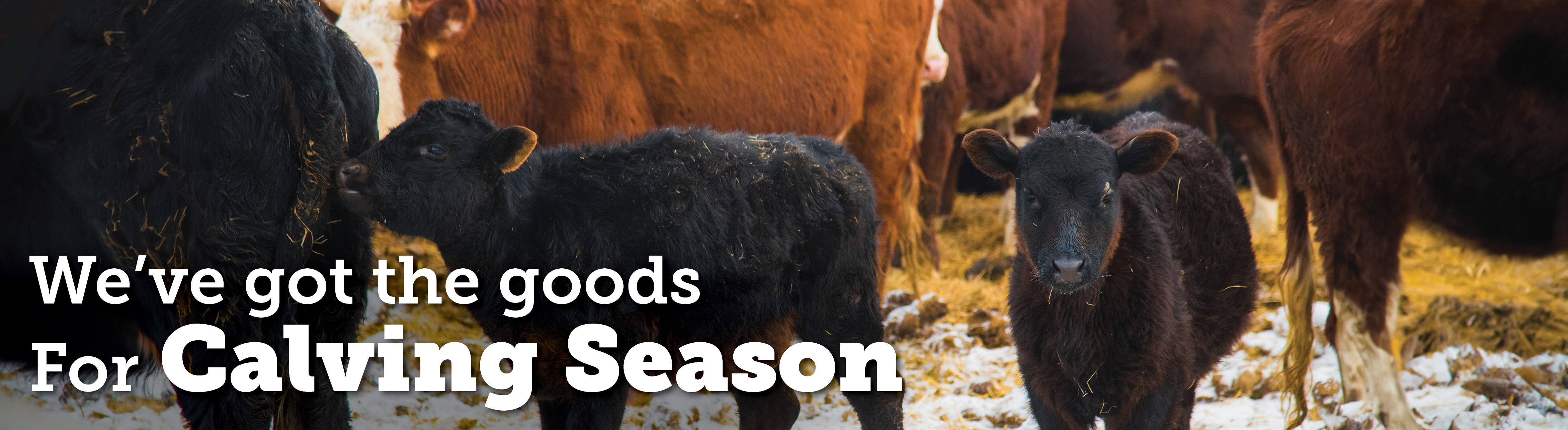 We've got the good for calving season.